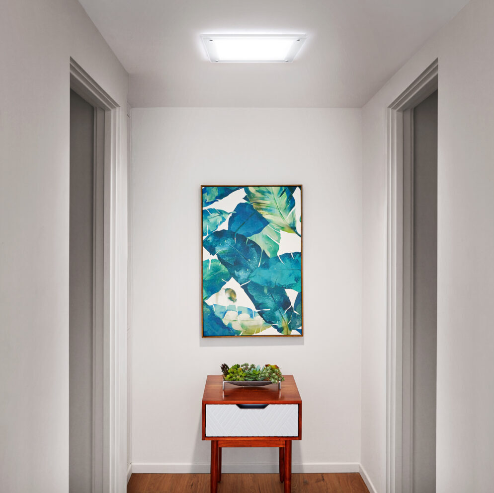 Daylighting Gallery Image